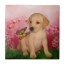 Pesquisar por filhote de cachorro azulejos Retriever