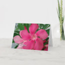Pesquisar por oleander cartoes Floral