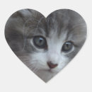 Pesquisar por burros adesivos Amantes