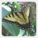 Pesquisar por borboleta marrom adesivos Natureza