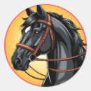 Pesquisar por cavalo preto adesivos Retrato