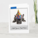 Pesquisar por french bulldog cartoes postais Humor