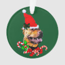 Pesquisar por de natal de bull terrier ornamentos Cães