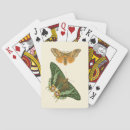 Pesquisar por pintura da borboleta Natureza