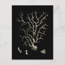 Pesquisar por recife de corais cartoes postais Praia