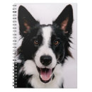 Pesquisar por border collie cadernos de notas Cães