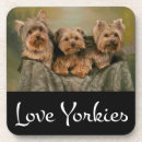 Pesquisar por yorkshire terrier porta copos Yorkie