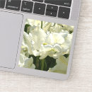 Pesquisar por tulipa adesivos Buquê