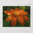 Pesquisar por jardim mexicano cartoes postais Natureza