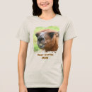Pesquisar por eu preciso mais café camisetas Citação