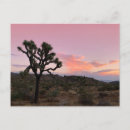 Pesquisar por trees cartoes convites Sunrise