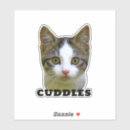 Pesquisar por pet adesivos Amantes de estimação