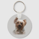 Pesquisar por yorkshire terrier chaveiros Cachorros