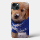 Pesquisar por retriever eletronicos Filhote de cachorro