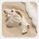 Pesquisar por turcos adesivos Praia