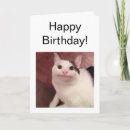 Pesquisar por gato engraçado do gatinho cartoes For him