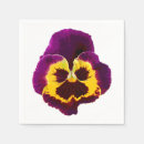 Pesquisar por flor do amor perfeito Roxo