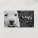 Pesquisar por baby sitter cão padrao cartao de visita Canil