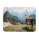 Pesquisar por machu picchu imas Paisagem