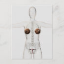 Pesquisar por tridimensional cartoes postais Imagem quadrada