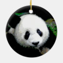 Pesquisar por pandas ornamentos For her