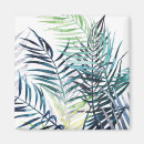 Pesquisar por litoral imas Tropicais