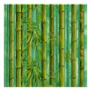 Pesquisar por bambu verde pôsteres Floresta de bambu