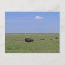 Pesquisar por conserva cartoes postais Kansas