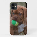 Pesquisar por puro sangue iphone capas Filhote de cachorro