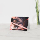 Pesquisar por touros cartoes Animal