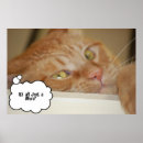 Pesquisar por oftalmologista pôsteres Humor