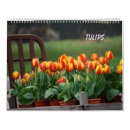Pesquisar por tulipa calendarios Natureza