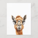 Pesquisar por camelo engraçado cartoes postais Fofo