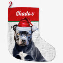 Pesquisar por pitbull meias de natal Cães