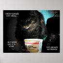Pesquisar por lol cat Lol cats