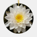 Pesquisar por lotus ornamentos Lótus