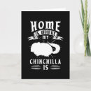 Pesquisar por chinchila cartoes Animal