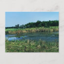 Pesquisar por ecologia cartoes postais Ambiente