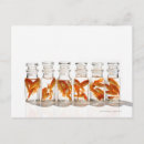 Pesquisar por transparente cartoes postais Horizontal