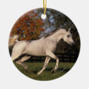 Pesquisar por cavalo árabe ornamentos Prumo langrish