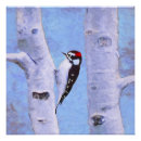 Pesquisar por pica pau pôsteres Pintura