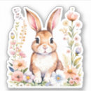 Pesquisar por watercolor bunny adesivos Coelho da páscoa