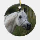 Pesquisar por cavalo árabe ornamentos Prumo langrish