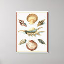 Pesquisar por shell impressão de canvas Mar