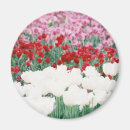 Pesquisar por tulips redondos imas Vermelho