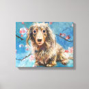 Pesquisar por dacshund Doxie