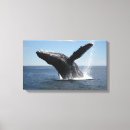 Pesquisar por aletas impressão de canvas Animal