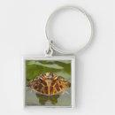 Pesquisar por cativo chaveiros Verde