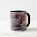 Pesquisar por chocolate labrador canecas Animal