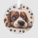 Pesquisar por pegada ornamentos Dogs